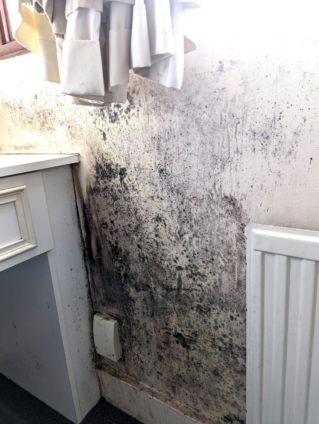Black mould spreading across a bedroom wall behind a radiator