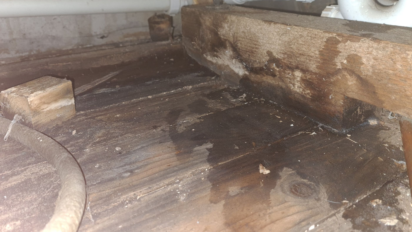 Floorboards lifted to show water-damaged timber joists underneath